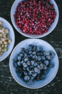 frozen foraged berries