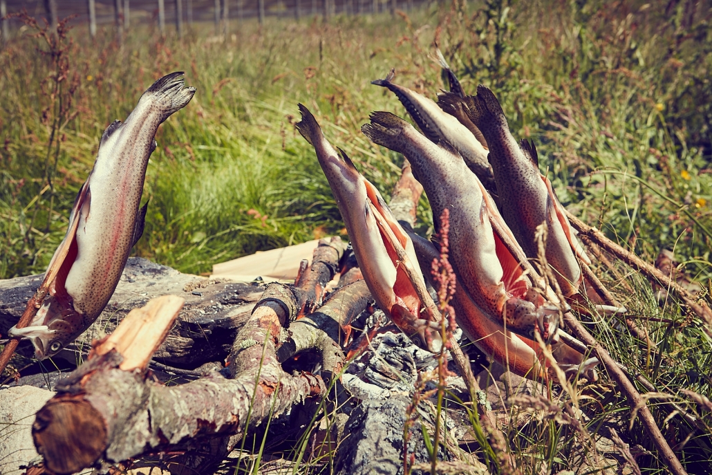 Wild trout, cooking on sticks over a campfire