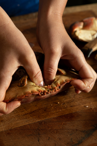 Push your thumbs through the shell of the crab