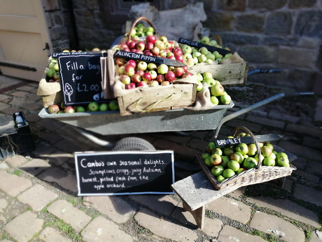 Some of the apple varieties grown at Cambo - Kitchen Quiz